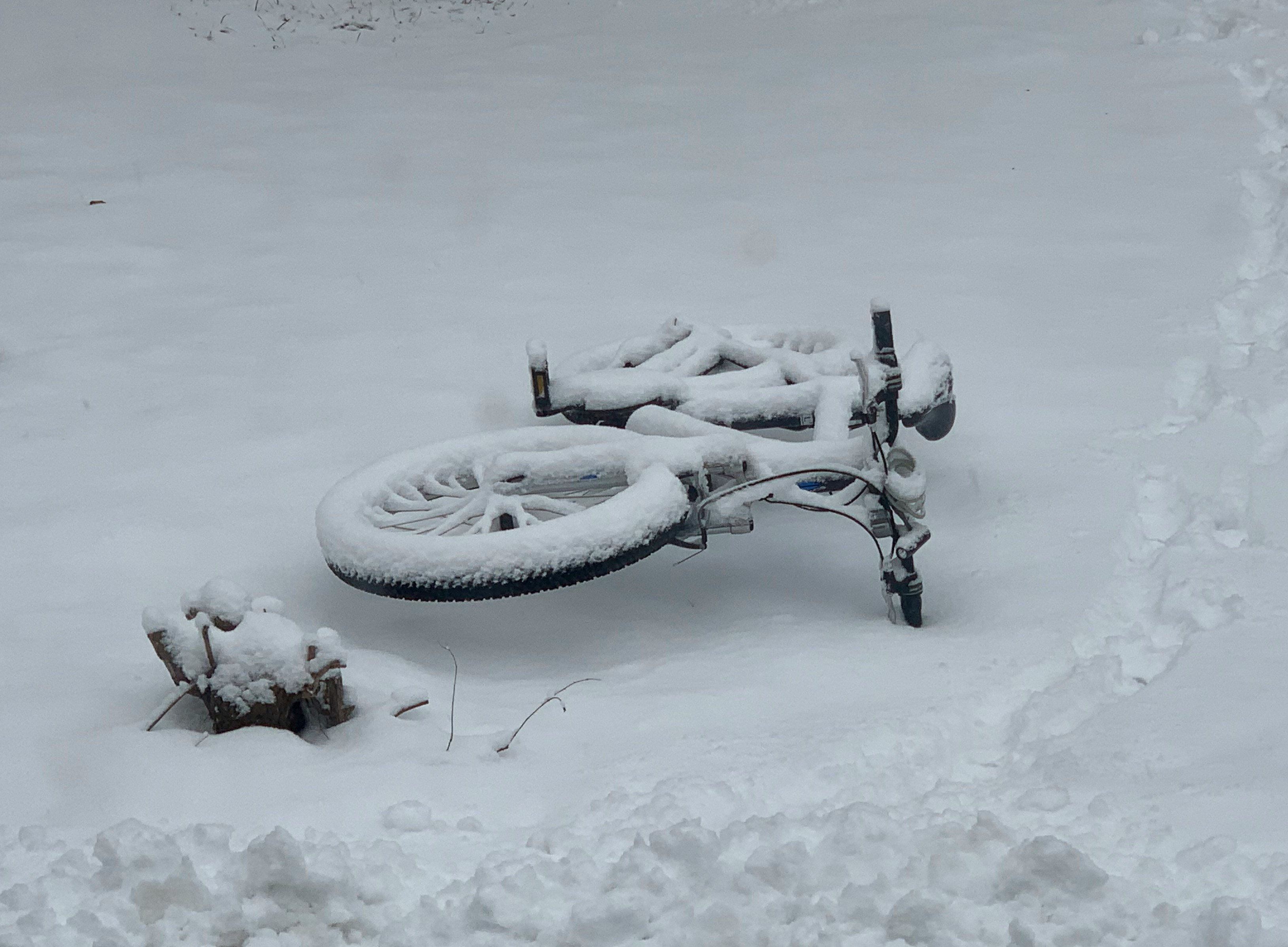 Winter Gravel Bike Maintenance: Essential Tips to Keep Rolling All Season