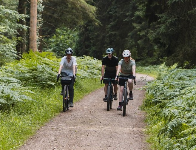 Gravel Cycling in UK Forests (2026): The Ultimate Guide to England, Scotland, Wales & Northern Ireland